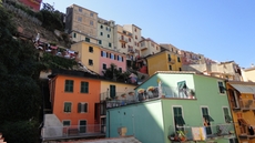 Colorful little houses in Manarola in the Cinque Terre