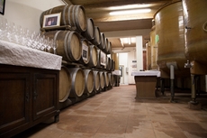 The Wine Olympics take place in a winery in Italy