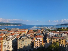 View from Castello San Giorgio of the port of La Spezia