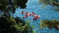 Kayak tour in the Ligurian sea in Italy